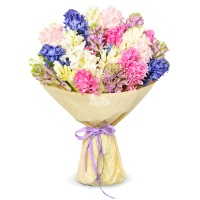 Букет Прелестные гиацинты  фото, kupilegko.ru