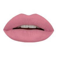 Гелевая подводка в карандаше для губ Provoc Gel Lip Liner (PV0018, 18, Натурально-розовый, 1 шт, 1 шт)  фото, kupilegko.ru