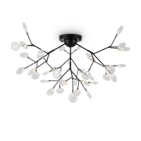 Потолочная люстра Freya Florencia FR5049CL-36B  фото, kupilegko.ru