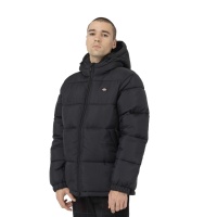 Куртка DICKIES WALDENBURG HOODED JACKET DK0A4YEY 362220 SP  фото, kupilegko.ru