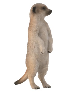 Сурикат, S 137792 GU  фото, kupilegko.ru