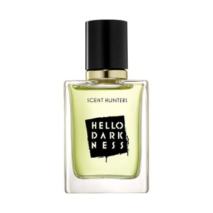 Парфюмерная вода SCENT HUNTERS Hello Darkness 142500325 LT  фото, kupilegko.ru