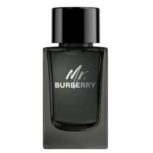 Мужская парфюмерная вода BURBERRY Mr. Burberry Eau de Parfum 53700013 LT  фото, kupilegko.ru