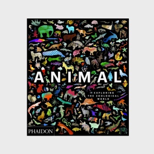Animal: Exploring the Zoological World Книга Phaidon  фото, kupilegko.ru