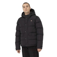 Пуховик DICKIES GLACIER VIEW PUFFER DK0A4Y3W 362187 SP  фото, kupilegko.ru