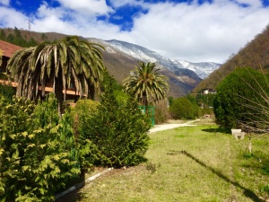 Туры в Гагру из Москвы  фото, kupilegko.ru