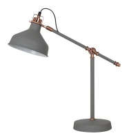 Настольная лампа Camelion KD-425 C73 13015  фото, kupilegko.ru