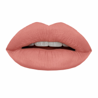 Гелевая подводка в карандаше для губ Provoc Gel Lip Liner (PV0210, 210, бежево-лососевый, 1 шт)  фото, kupilegko.ru