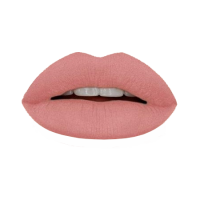 Гелевая подводка в карандаше для губ Provoc Gel Lip Liner (PV0805, 805, коралловый нюд, 1 шт)  фото, kupilegko.ru