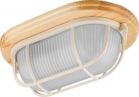 Уличные потолочные Feron 11572  фото, kupilegko.ru