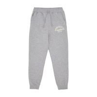 Спортивные штаны DIADORA 1948 ATHL. CLUB DR502179942 356786 SP  фото, kupilegko.ru