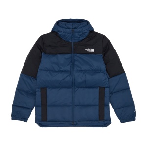 Куртка NORTH FACE DIABLO DWN HOOD NF0A4M9L 365217 SP  фото, kupilegko.ru