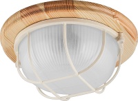 Уличные потолочные Feron 11570  фото, kupilegko.ru