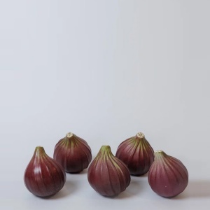 Fig Скульптура S 5 шт. Gardeco  фото, kupilegko.ru