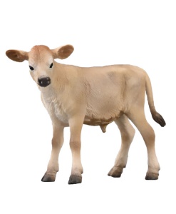 Телёнок Джерсейская, S 137877 GU  фото, kupilegko.ru