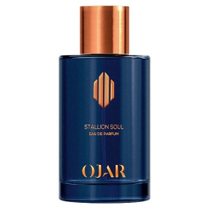 Женская парфюмерная вода OJAR Stallion Soul 146701220 LT  фото, kupilegko.ru