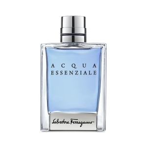 Мужская туалетная вода, парфюм SALVATORE FERRAGAMO Acqua Essenziale 4400112 LT  фото, kupilegko.ru