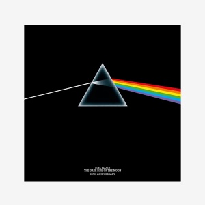 Pink Floyd: The Dark Side of the Moon Книга Thames & Hudson  фото, kupilegko.ru