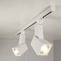 Трековые светильники Elektrostandard Perfect Perfect Белый 38W 4200K (LTB14) трехфазный  фото, kupilegko.ru