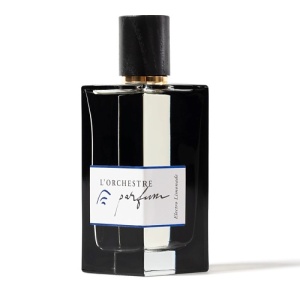 Парфюмерная вода L'ORCHESTRE Electro Limonade 146300089 LT  фото, kupilegko.ru