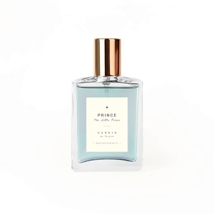 Женская туалетная вода, парфюм GARNIR Prince 140600107 LT  фото, kupilegko.ru