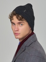 Мужская шапка бини Dr.Koffer M-81011-82 25057 DK  фото, kupilegko.ru