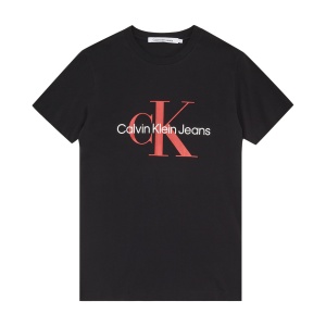 Футболка CALVIN KLEIN CORE MONOLOGO SLIM T CKJ30J320935 364030 SP  фото, kupilegko.ru
