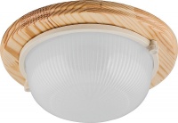 Уличные потолочные Feron 11569  фото, kupilegko.ru