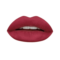 Гелевая подводка в карандаше для губ Provoc Gel Lip Liner (PV0049, 49, Бордовый, 1 шт, 1 шт)  фото, kupilegko.ru