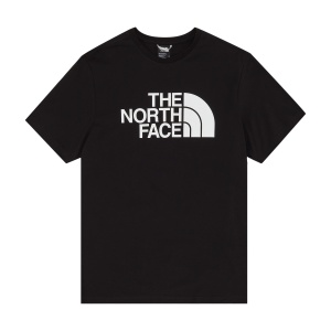 Футболка NORTH FACE HD TEE NF0A4M8N 365192 SP  фото, kupilegko.ru