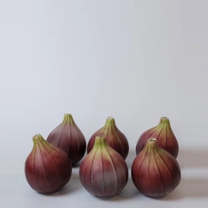 Fig Скульптура M 6 шт. Gardeco  фото, kupilegko.ru