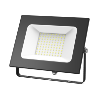 Прожектор уличный светодиодный Gauss Elementary ПРОМО 6500K 613100100P  фото, kupilegko.ru