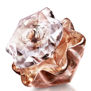 Женская парфюмерная вода MONTBLANC Lady Emblem Elixir 51000002 LT  фото, kupilegko.ru