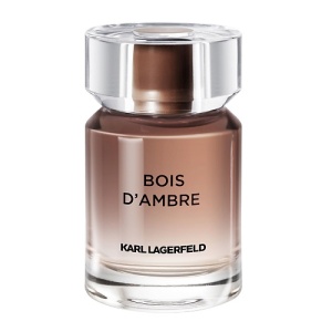 Мужская туалетная вода, парфюм KARL LAGERFELD Bois D'Ambre 99100014 LT  фото, kupilegko.ru