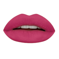 Гелевая подводка в карандаше для губ Provoc Gel Lip Liner (PV0015, 15, Фуксия, 1 шт, 1 шт)  фото, kupilegko.ru