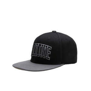 Кепка PRIMITIVE Collegiate Arch Snapback PRPA323H02 367661 SP  фото, kupilegko.ru