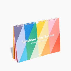 Spectrum Mini Planner Vibrant Настенный планер Poketo  фото, kupilegko.ru