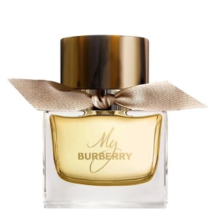 Женская парфюмерная вода BURBERRY My Burberry 16600003 LT  фото, kupilegko.ru