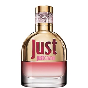 Женская туалетная вода, парфюм ROBERTO CAVALLI Just Cavalli 105000066 LT  фото, kupilegko.ru