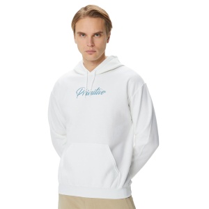 Толстовка PRIMITIVE Shiver Hood PRPAPFA2313 367785 SP  фото, kupilegko.ru