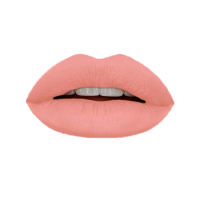 Гелевая подводка в карандаше для губ Provoc Gel Lip Liner (PV0041, 41, Лососевый, 1 шт, 1 шт)  фото, kupilegko.ru