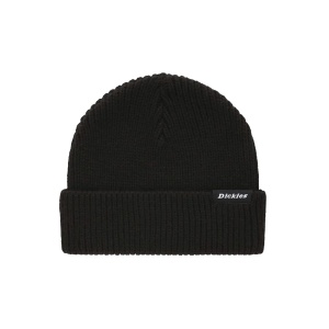 Шапка DICKIES WOODWORTH BEANIE DK0A4X7Y 362954 SP  фото, kupilegko.ru