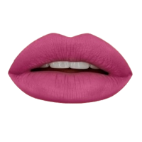 Гелевая подводка в карандаше для губ Provoc Gel Lip Liner (PV0019, 19, Малиновый 2, 1 шт, 1 шт)  фото, kupilegko.ru