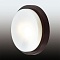 Настенный светильник Odeon Light Holger 2744/2C