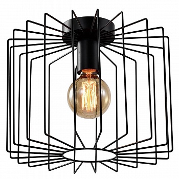 Потолочный светильник Rivoli Eva 5093-201 Б0053052  фото, kupilegko.ru