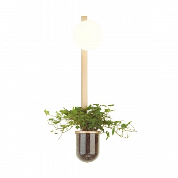 Настенный светильник Odeon Light Flower 4682/1WB  фото, kupilegko.ru