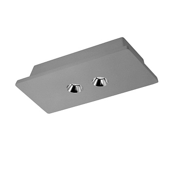 Потолочный светодиодный светильник Loft IT Architect OL1072-GH/2  фото, kupilegko.ru