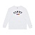 Толстовка TOMMY JEANS OVR ARCHIVE 2 LS TMDW0DW16168 364874 SP  фото, kupilegko.ru