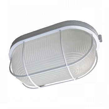 Настенно-потолочный светильник ЭРА НБП 04-100-002 Б0048426  фото, kupilegko.ru