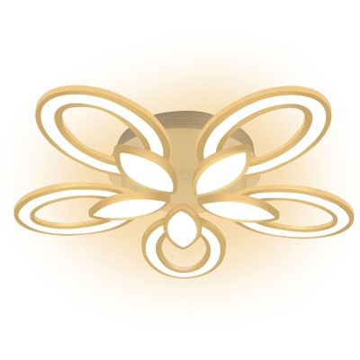 Потолочная светодиодная люстра Ritter 52377 2  фото, kupilegko.ru